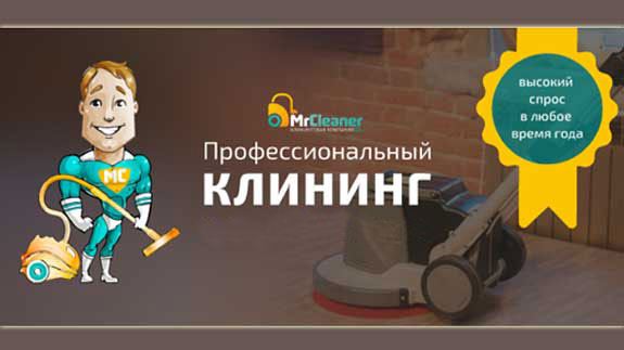Франшиза Mr. Cleaner