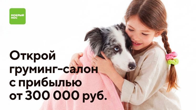 Франшиза Мокрый нос