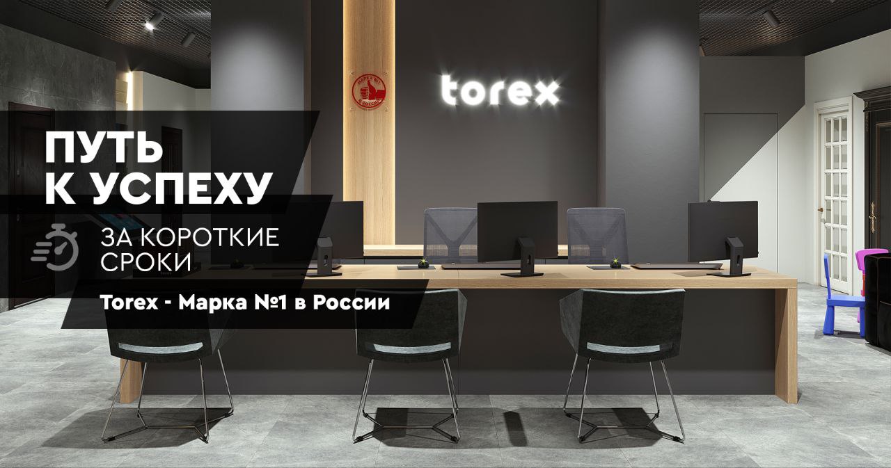 Франшиза по продаже металлических дверей TOREX