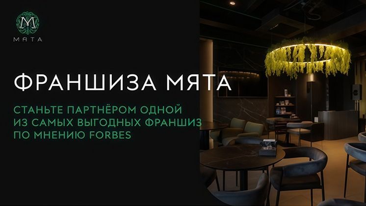 Франшиза Мята