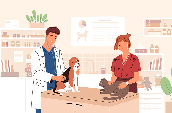 Как открыть свою ветеринарную клинику с нуля — бизнес-идея для тех, кто любит животных