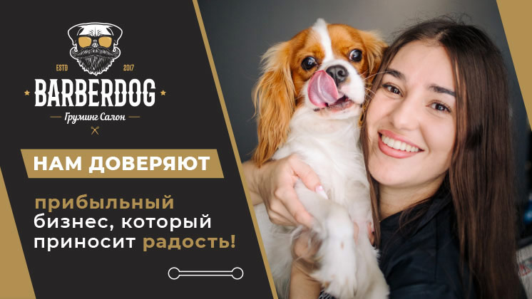 Франшиза BARBERDOG