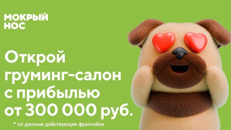 Франшиза Мокрый нос