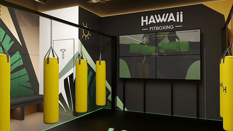 Франшиза фитнес-студии Hawaii Fitboxing