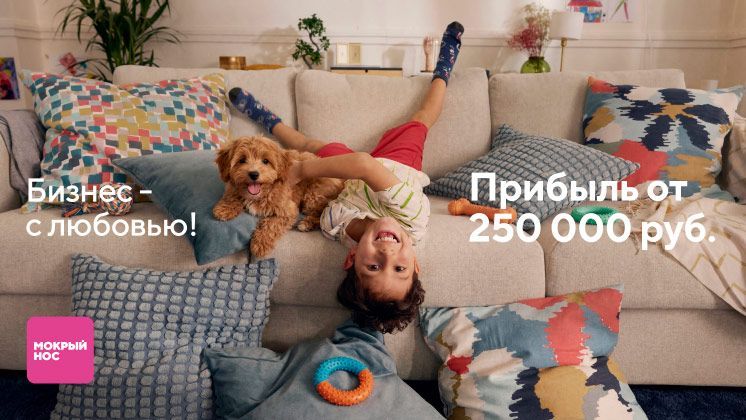 Франшиза Мокрый нос