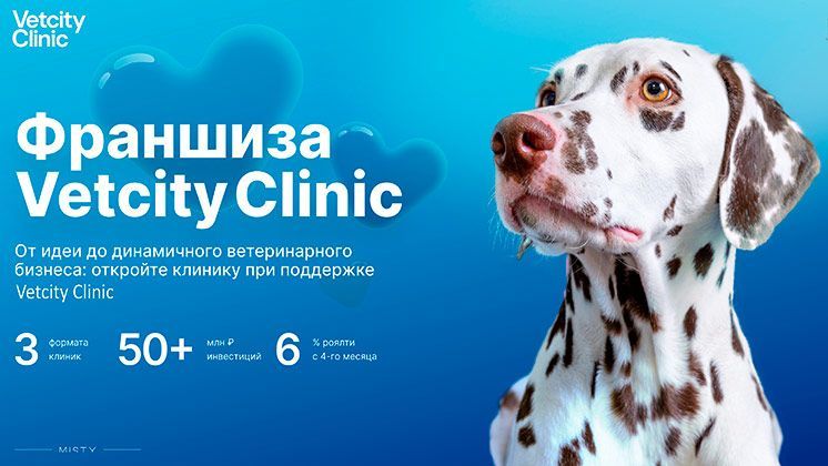Vetcity Clinic
