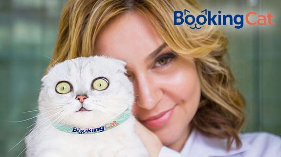 франшиза Booking Cat