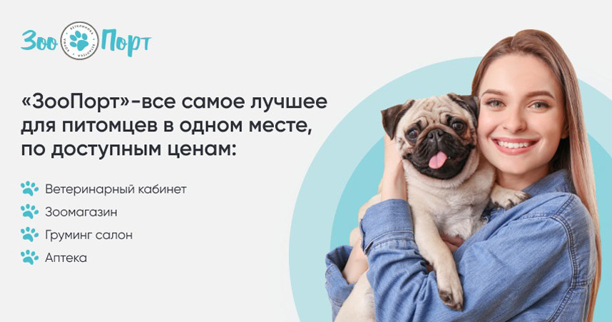 «ЗооПорт» — франшиза сети ветеринарных клиник
