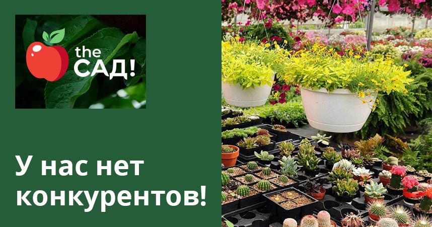 Франшиза растений питомника москва фотостудии для маркетплейсов