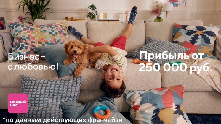 Франшиза Мокрый нос