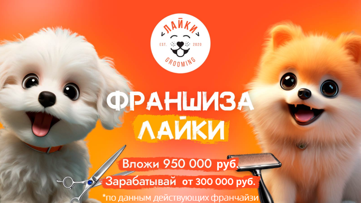 Франшиза «ЛАЙКИ» — груминг-салон