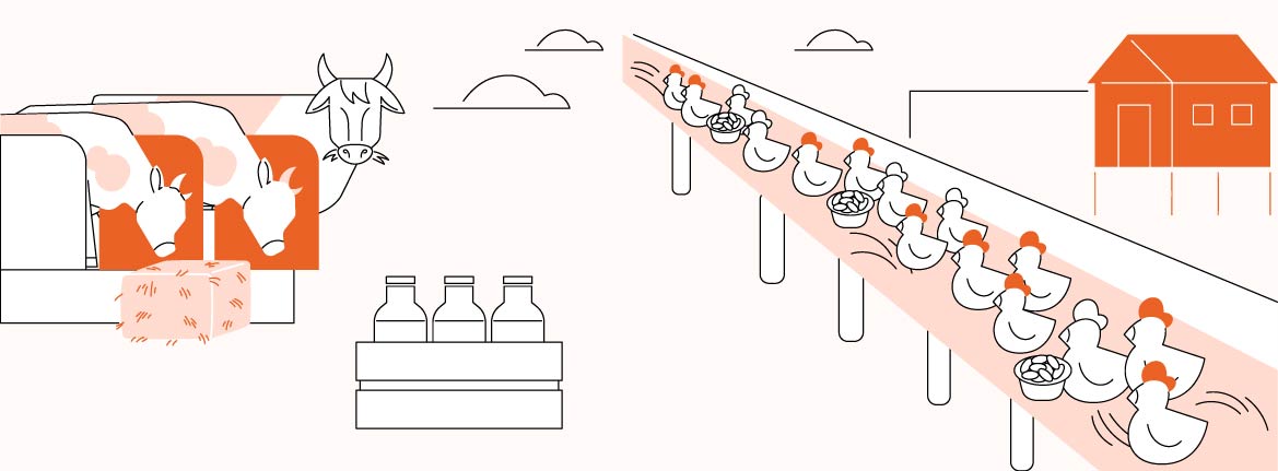 75 лучших идей для открытия бизнеса в селе или деревне в 2026 году