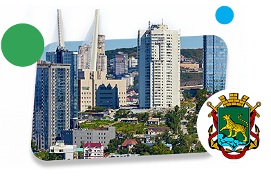 Франшизы во Владивостоке