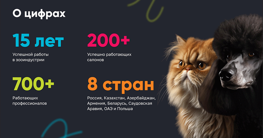 Франшиза GROOM — международная сеть груминг‑салонов