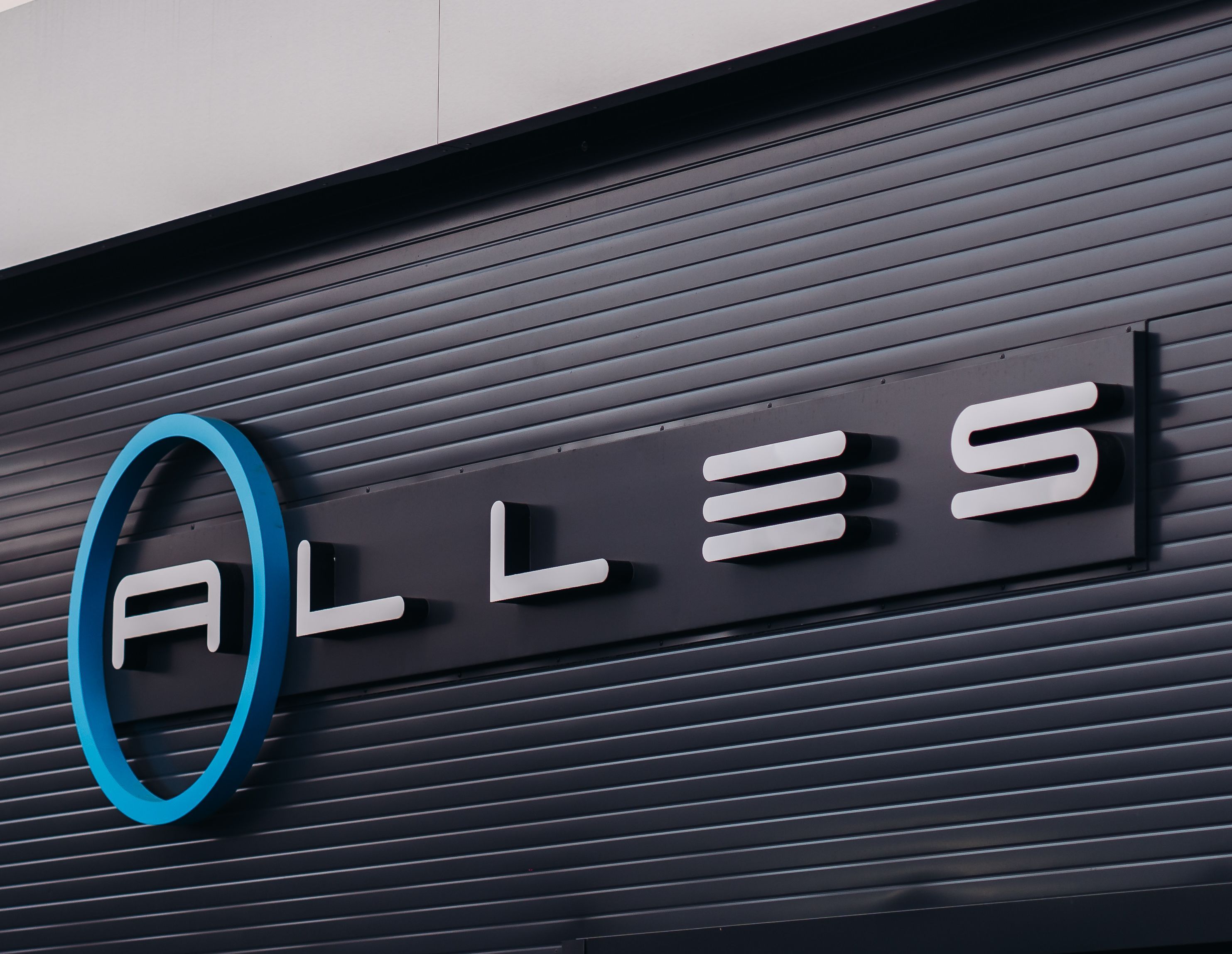 Денис, франчайзи ALLES