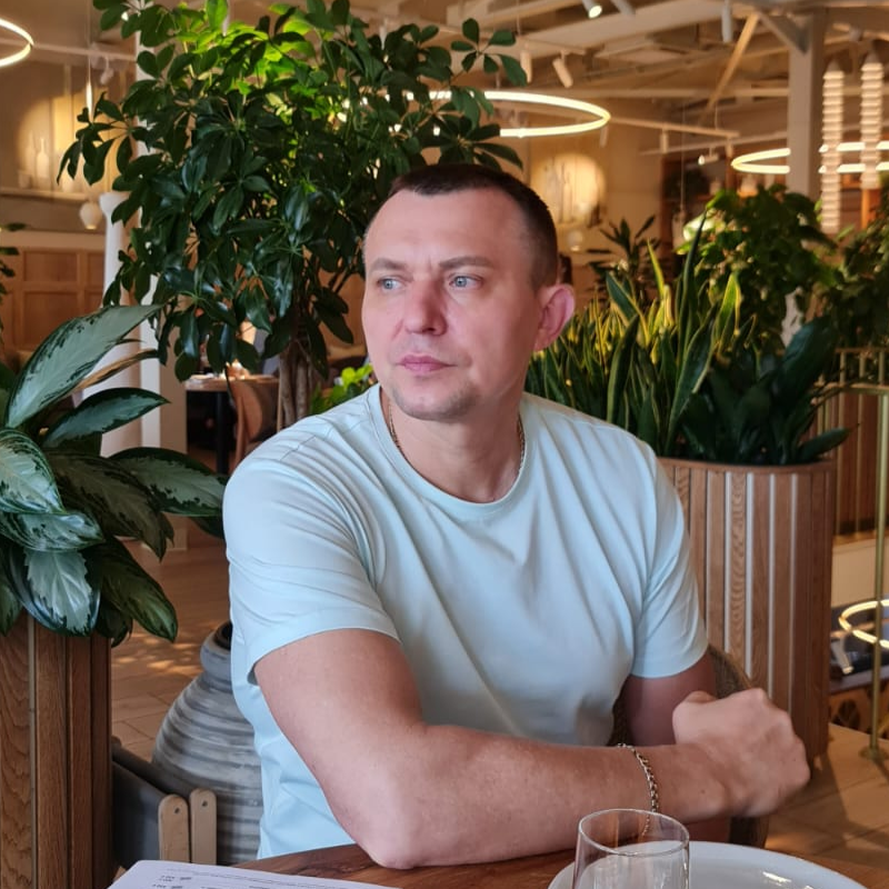 Роман, франчайзи 33 пингвина