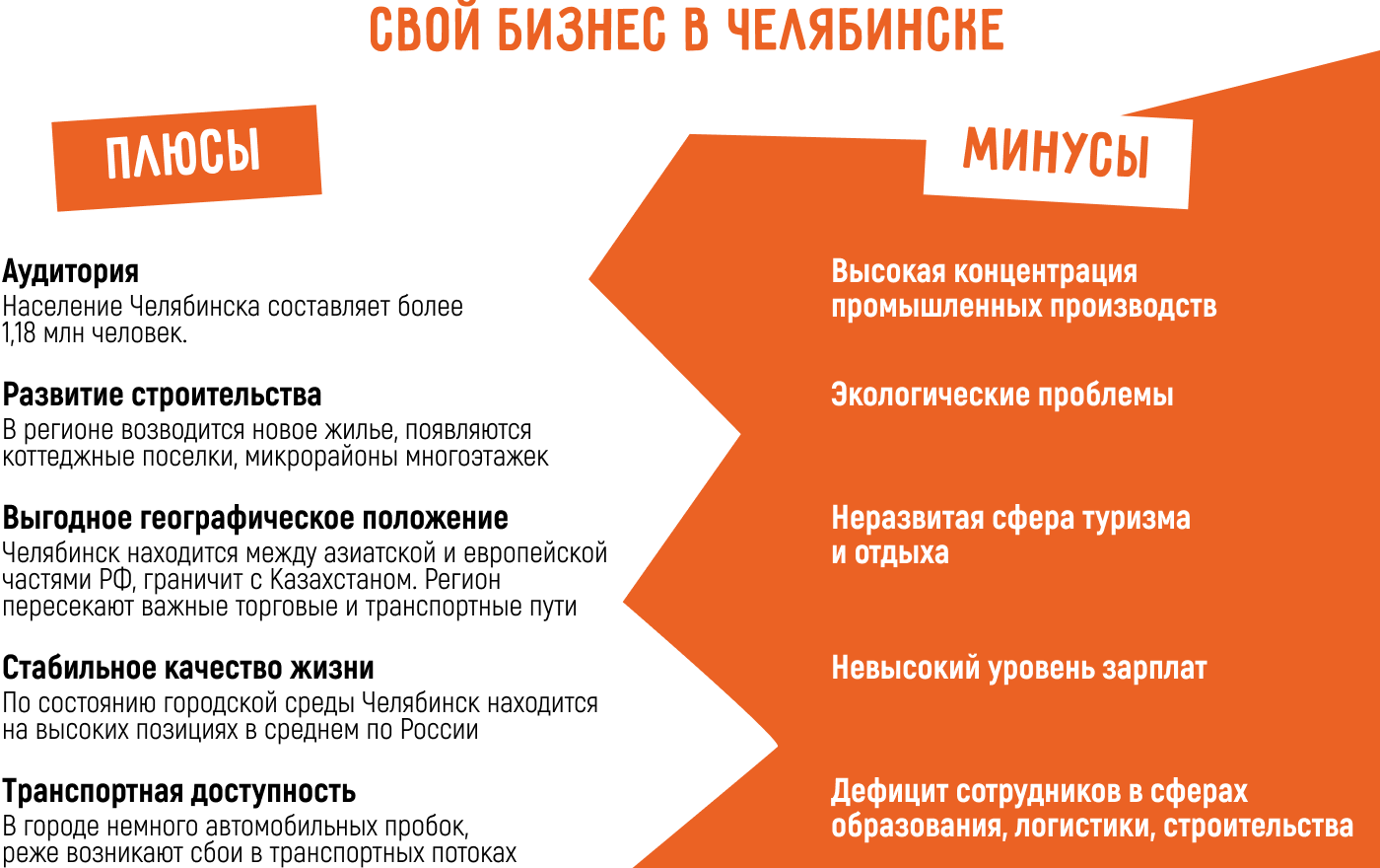 Бизнес идеи в Челябинске