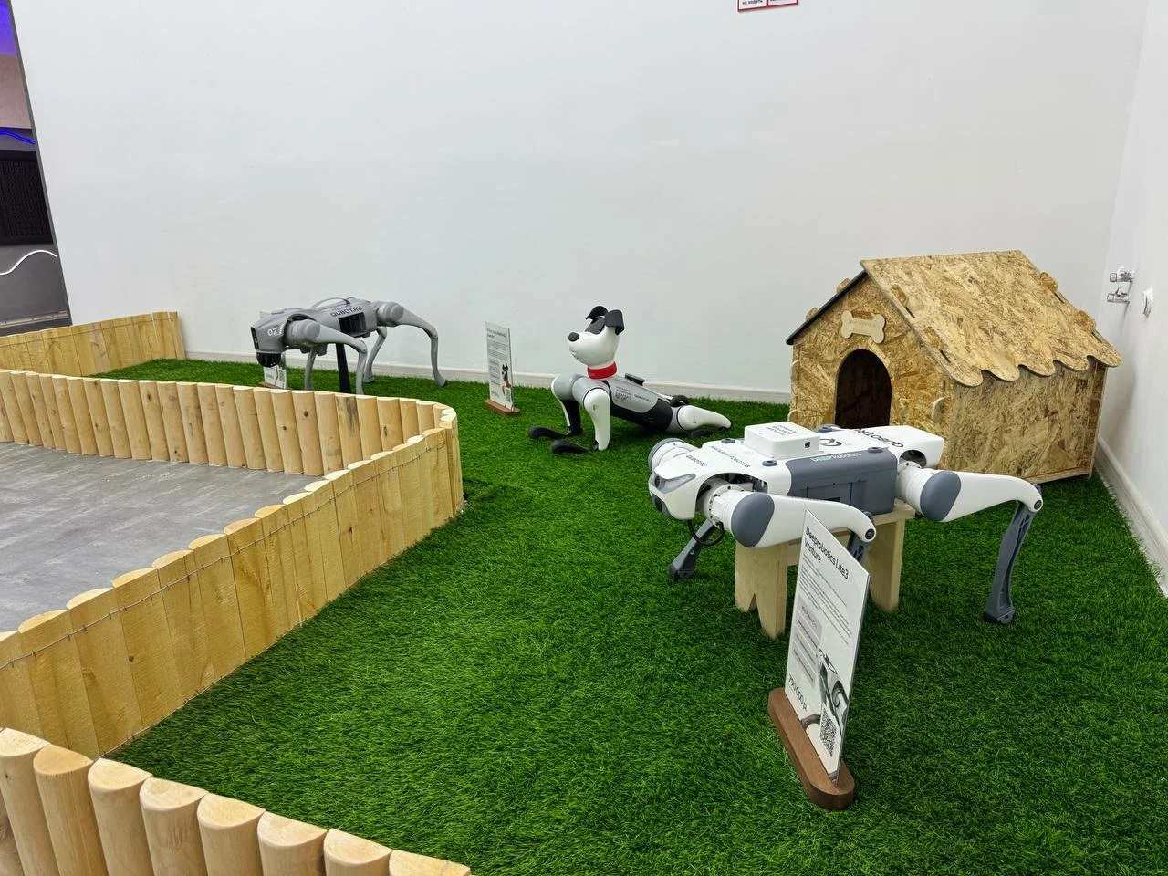 Заработать на роботах: как устроена первая франшиза магазина гуманоидов в России Qubot