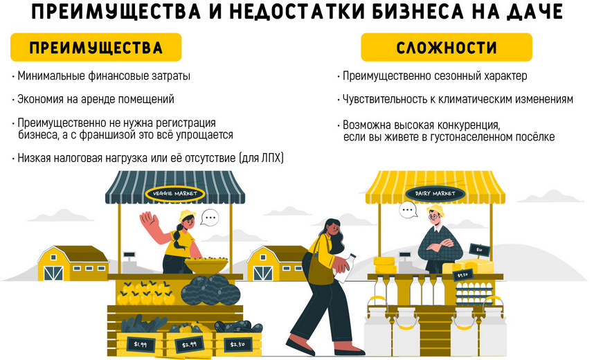 бизнес на участке