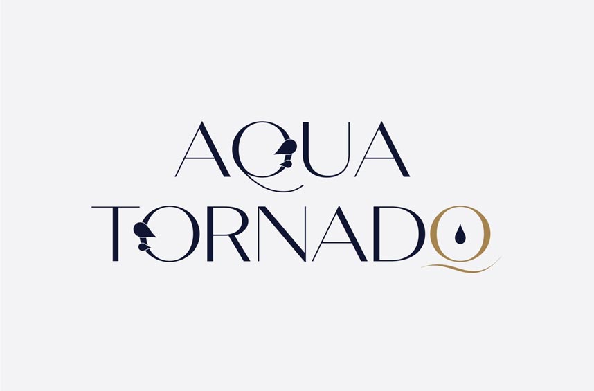 сколько стоит купить франшизу Aqua Tornado