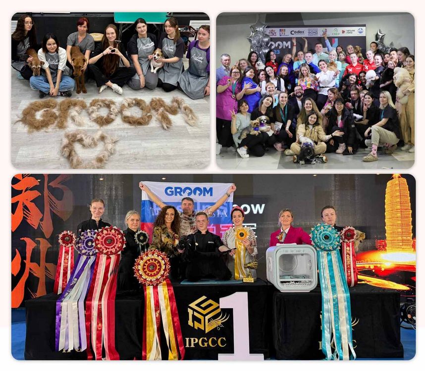 Как устроена франшиза груминга