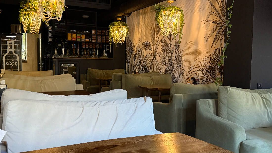 SAGA FAMILY — франшиза сети ресторанов