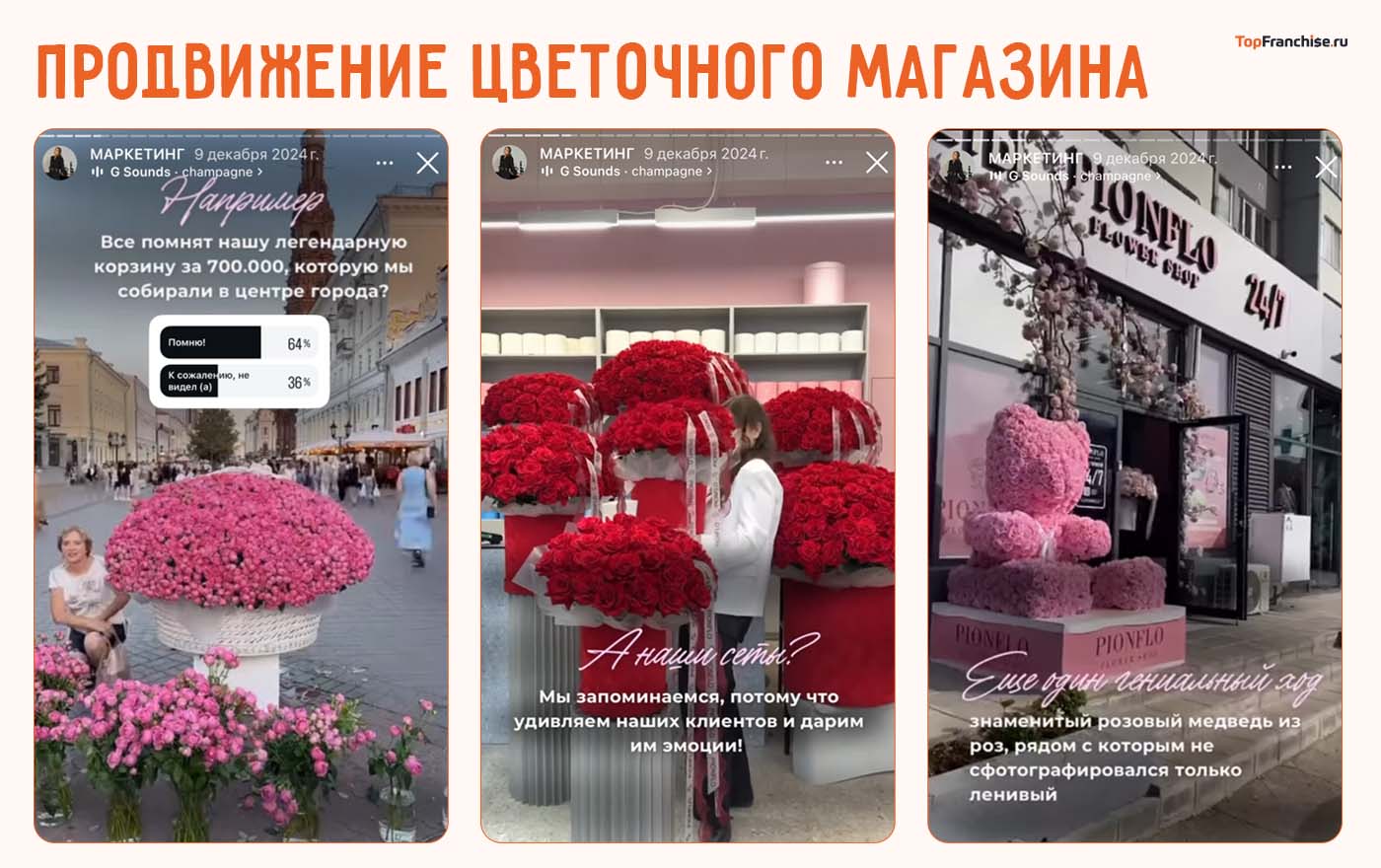 Франшиза PIONFLO