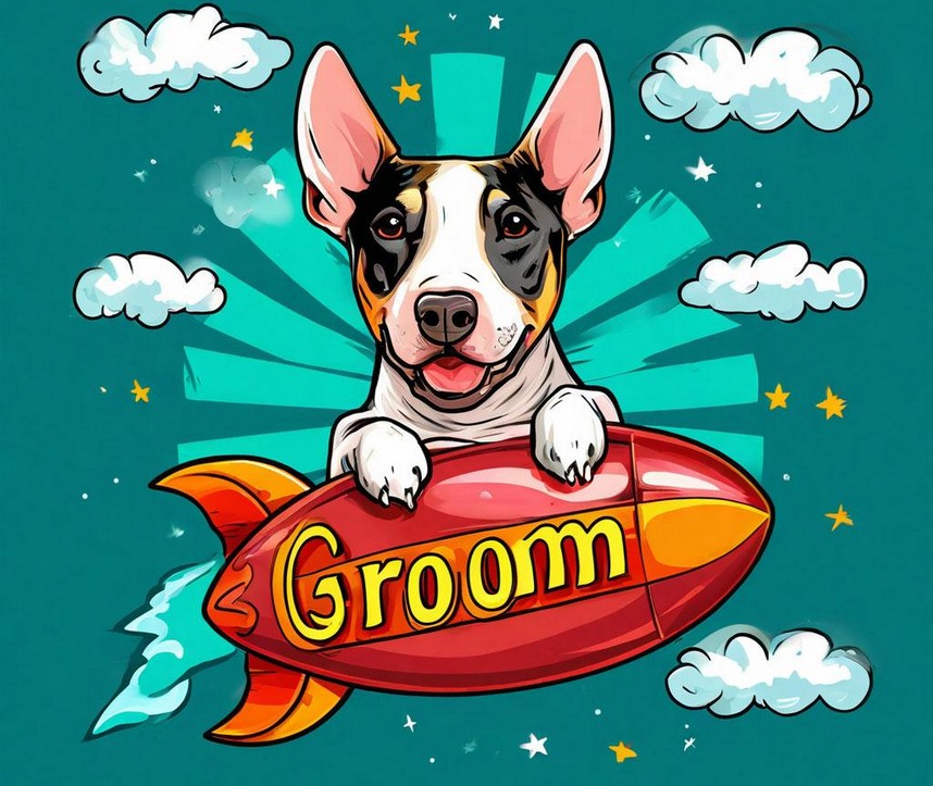 GROOM: Груминг в мейнстриме. Как определиться с выбором