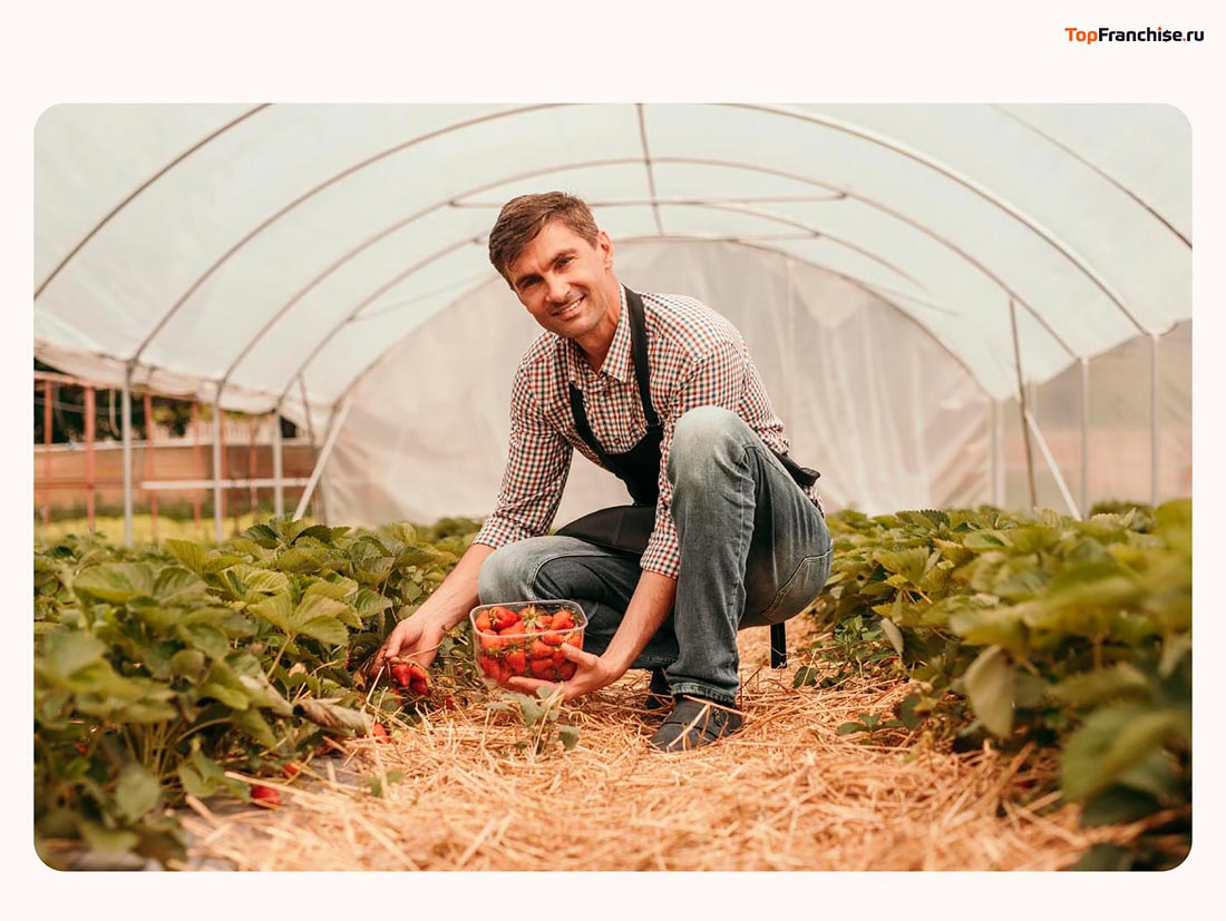 Бизнес в деревне: 11 идей для мужчин, которые можно реализовать прямо сейчас