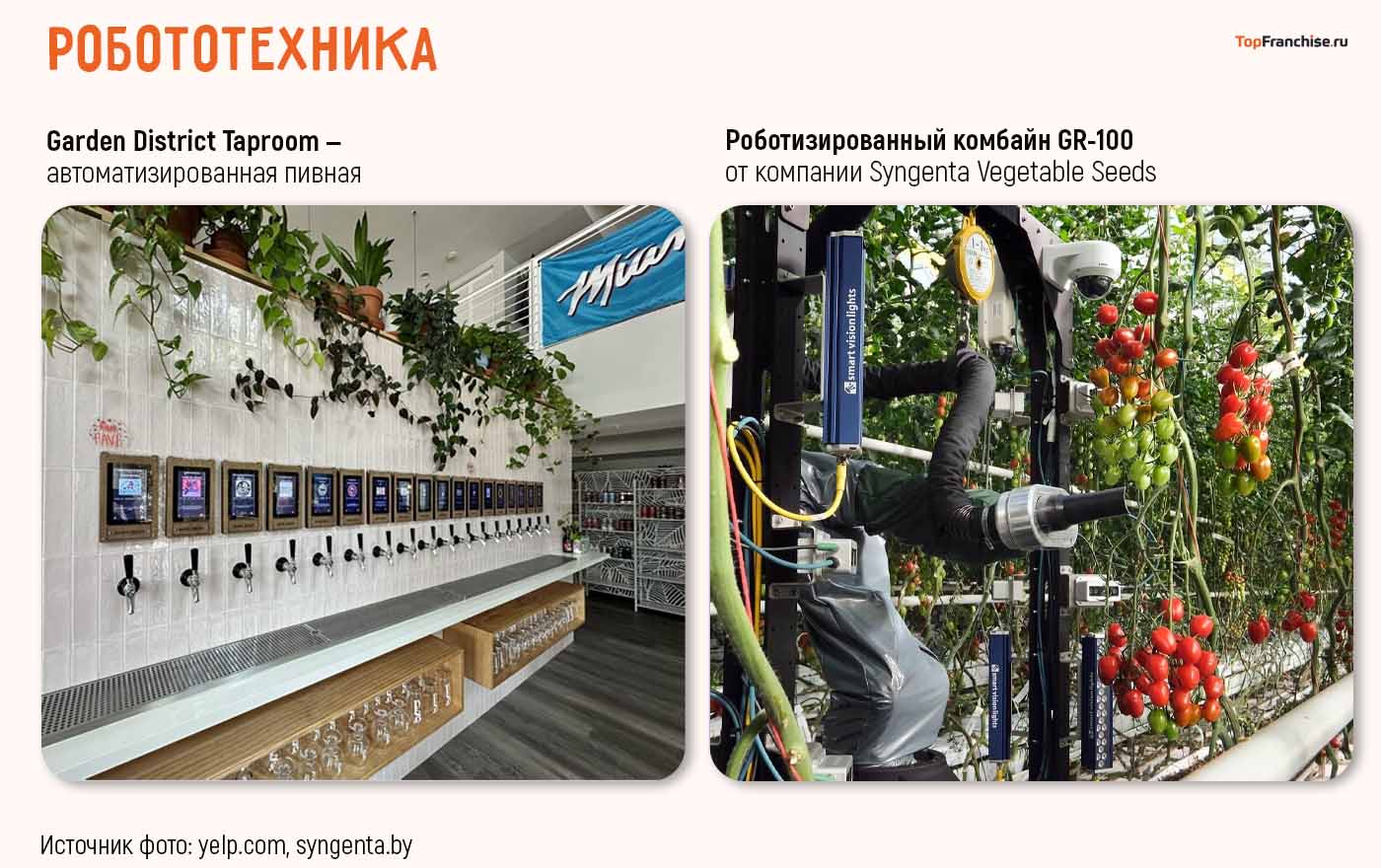 Американские бизнес идеи