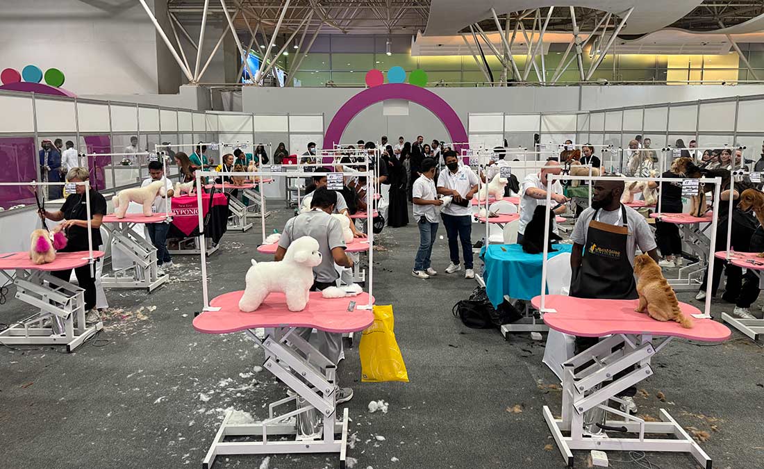 Российский бренд задает стандарты международного груминга