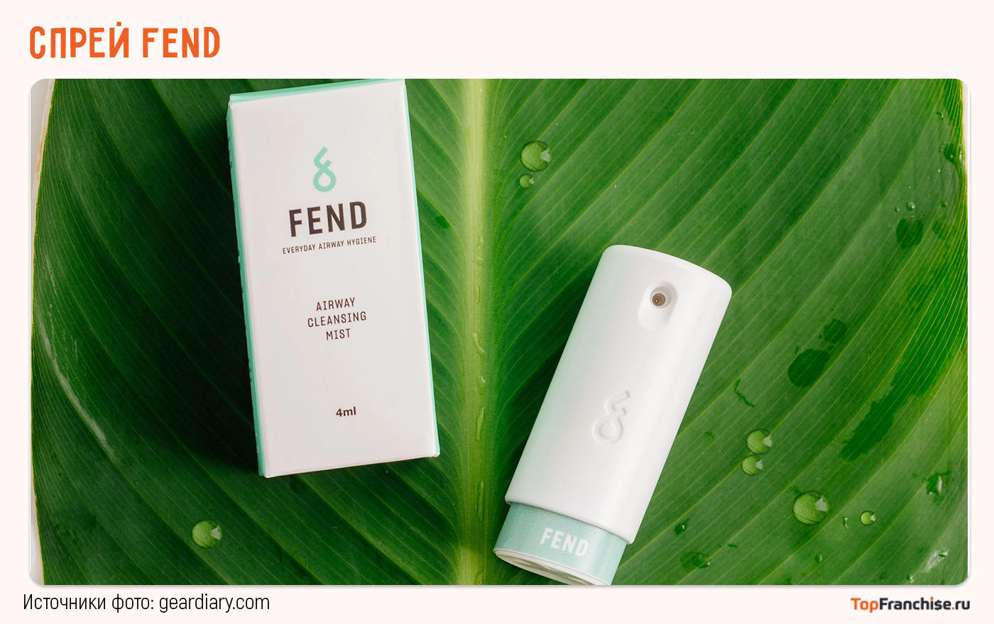 Интересные и перспективные бизнес-идеи в 2026 году: топ трендовых бизнес-идей, которые выстрелят в ближайшее время