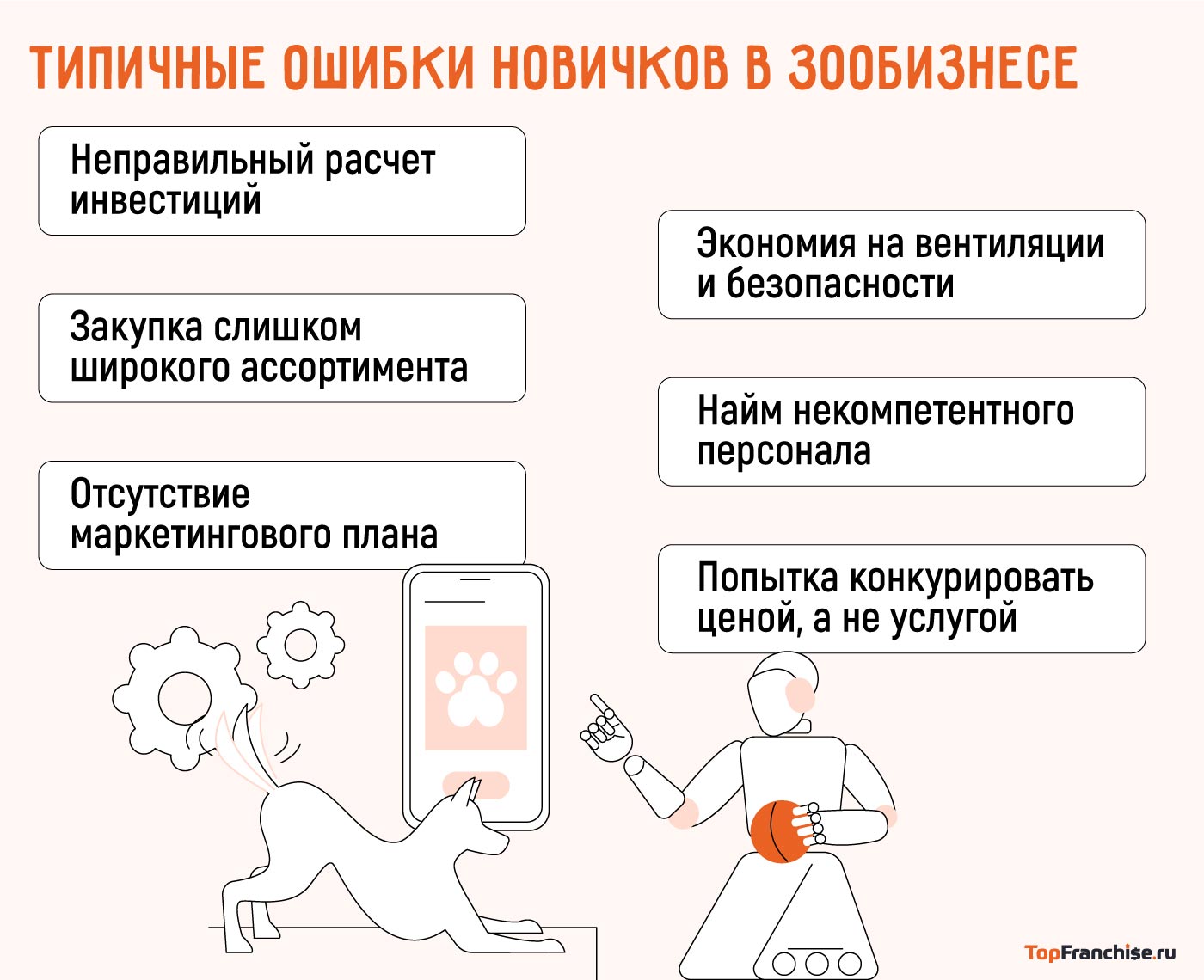 Как открыть зоогостиницу или зоомагазин: пошаговая инструкция для старта с нуля или по франшизе