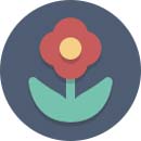 стоимость франшизы Маугли