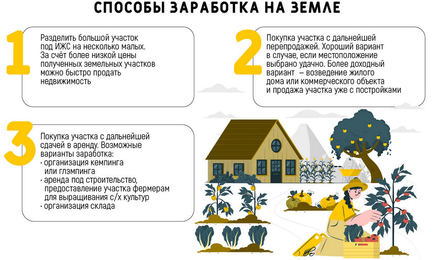 бизнес на даче идеи