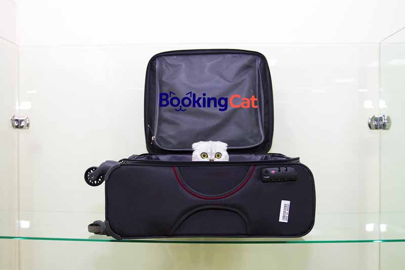 франшиза Bookingcat на Дальнем Востоке