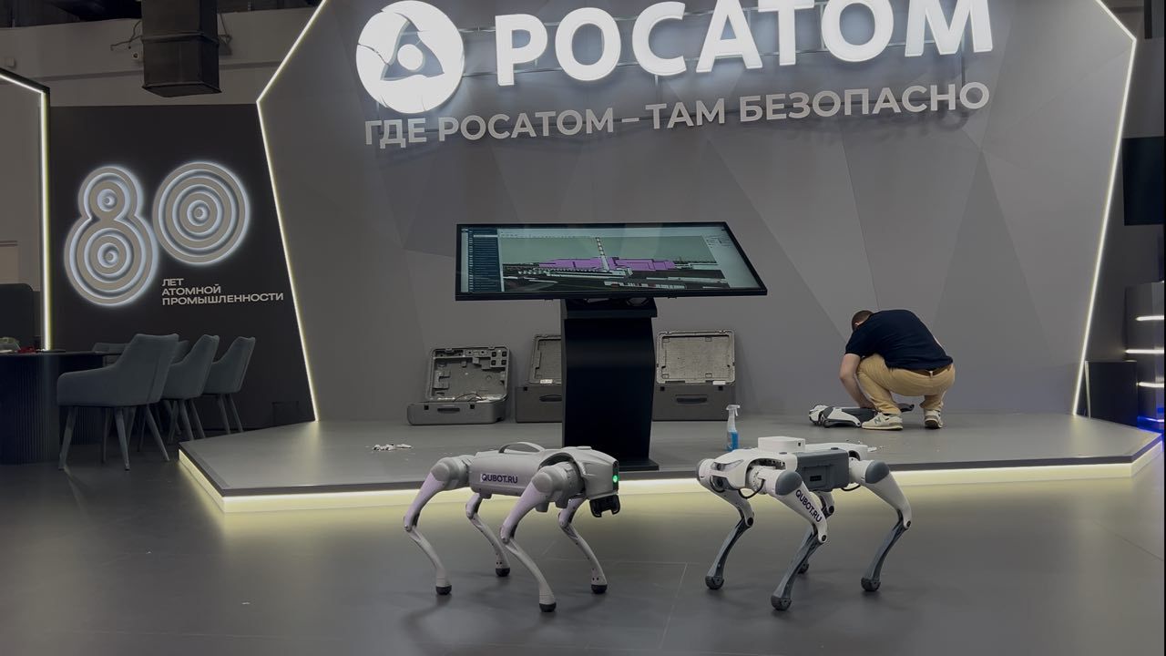 Заработать на роботах: как устроена первая франшиза магазина гуманоидов в России Qubot