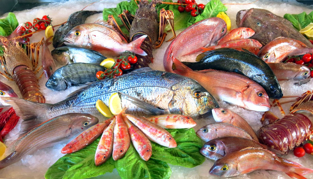 франшиза рыбы и морепродуктов