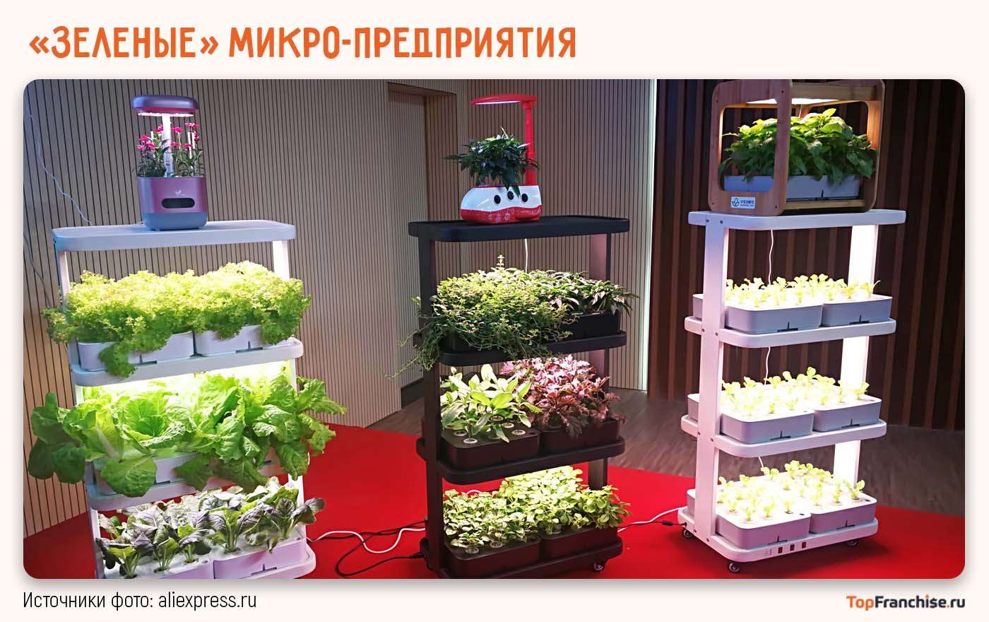 Идеи для домашнего бизнеса на 2026 год