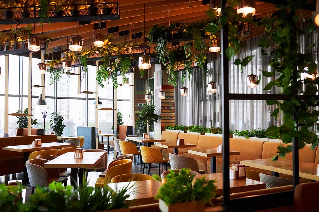 Франшиза хинкальной «Кацо»