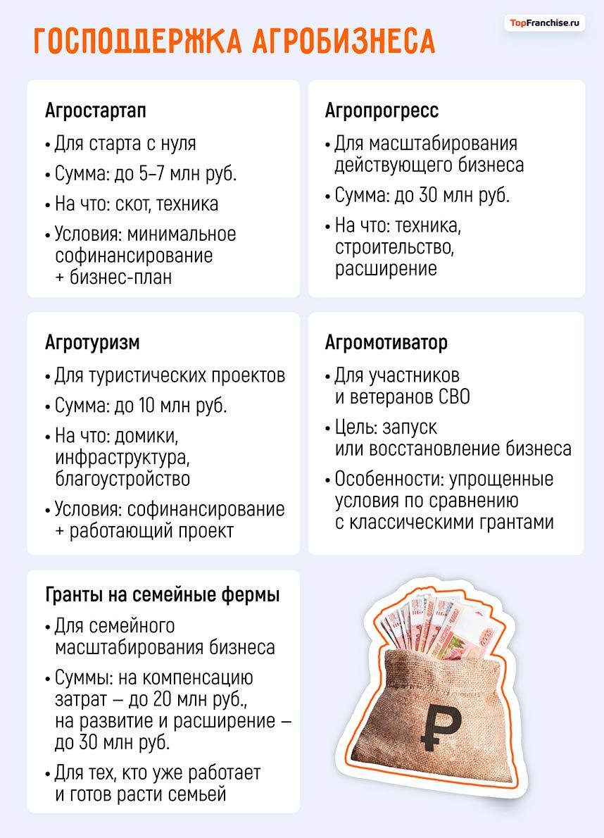 Какой бизнес открыть в селе, деревне или поселке: выгодные идеи 2026 года