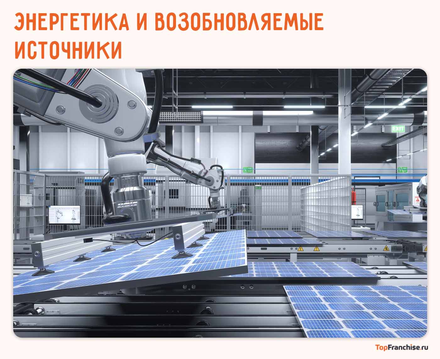 Франшизы производств в России