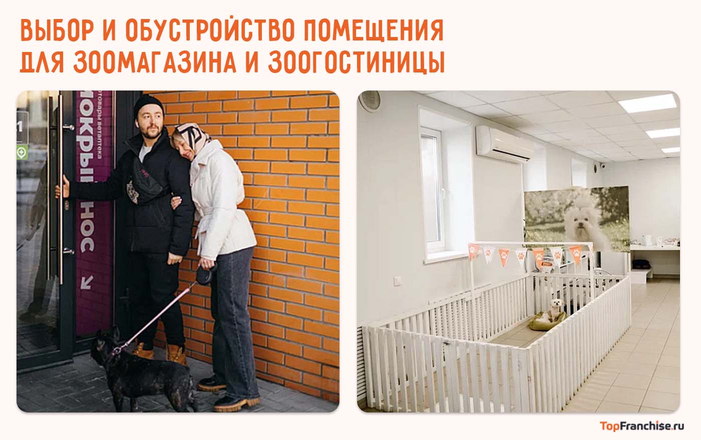 Как открыть зоогостиницу или зоомагазин: пошаговая инструкция для старта с нуля или по франшизе