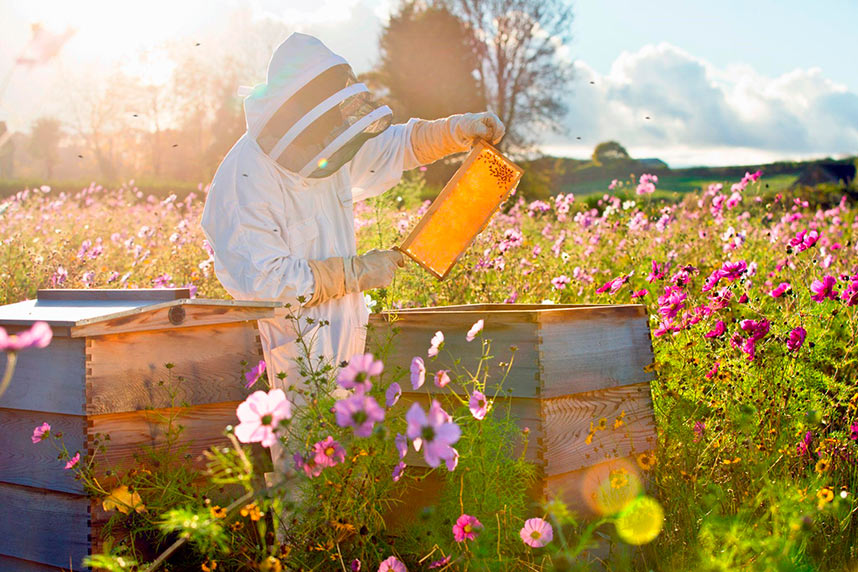 Бизнес в сельском хозяйстве: личный опыт и советы от фермера