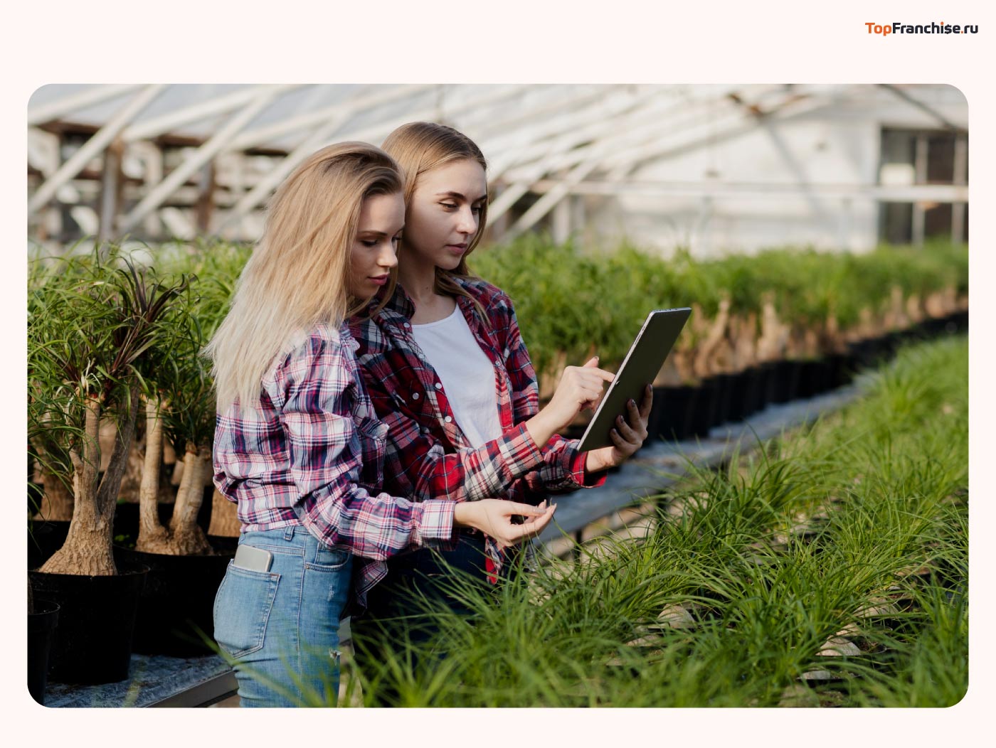 Бизнес-идеи, которые реально работают в 2026 году — 101 проверенная идея для старта