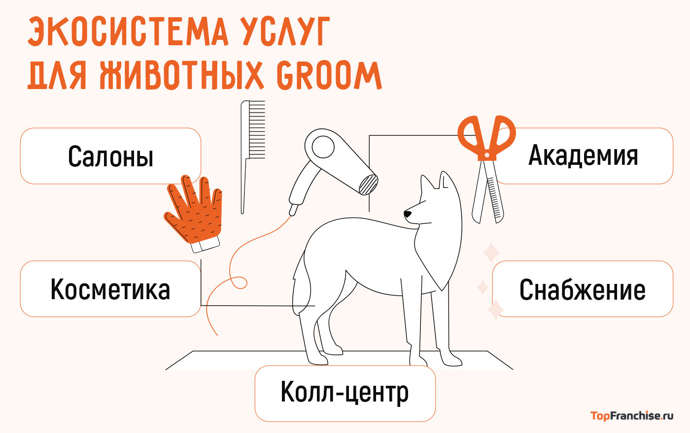 Франшиза GROOM