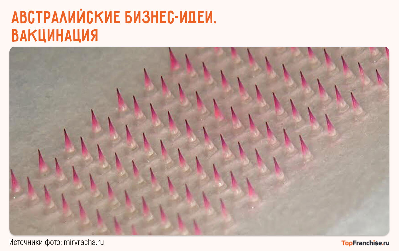 Необычные бизнес-идеи