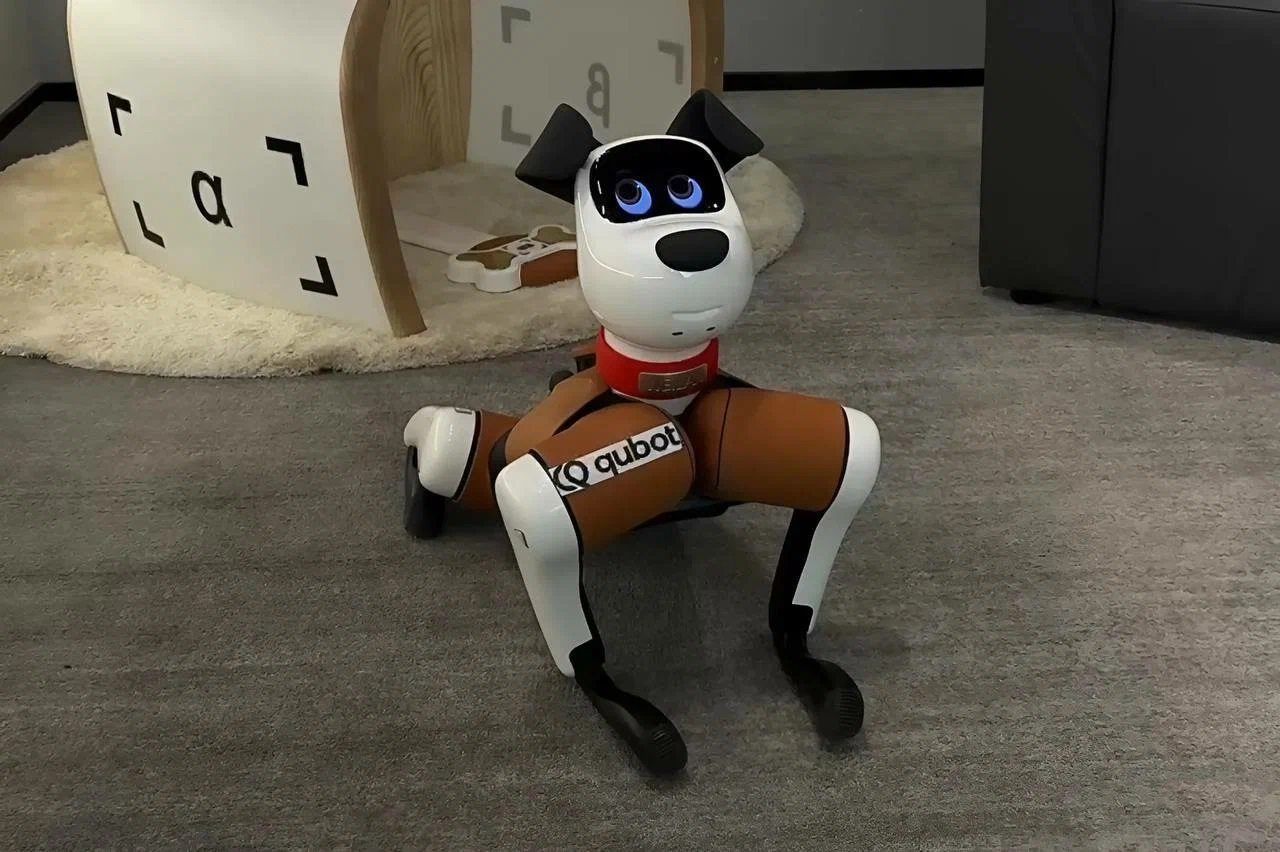 Заработать на роботах: как устроена первая франшиза магазина гуманоидов в России Qubot