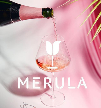 условия франшизы винного бара Merula