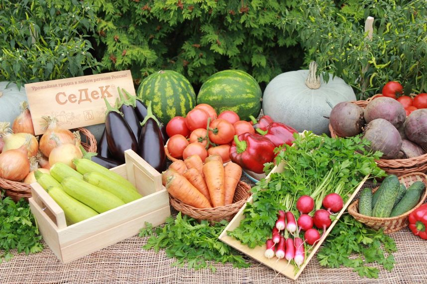 Франшиза федеральной сети магазинов семян «Урожайная грядка»